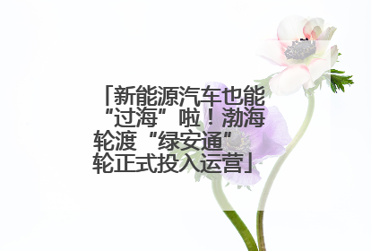 新能源汽车也能“过海”啦！渤海轮渡“绿安通” 轮正式投入运营